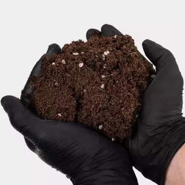 Light Mix GB Nutrients- GB The Green Brand