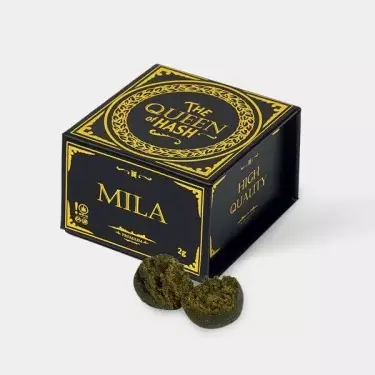 Charas Mila The Queen of Hash x GB - GB The Green Brand