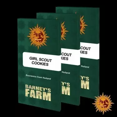 Girl Scout Cookies - Barney's Farm - GB The Green Brand