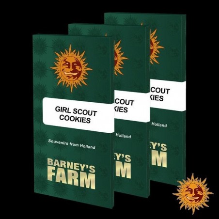 Girl Scout Cookies - Barney's Farm - GB The Green Brand