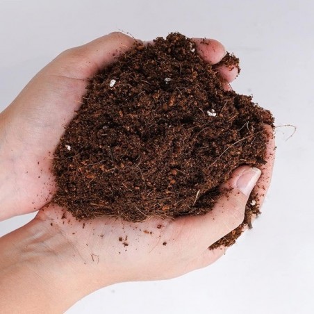 Light Mix mescola del marchio Boom Nutrients.