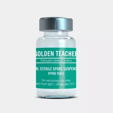 Flacone con Spore Golden Teacher - GB The Green Brand
