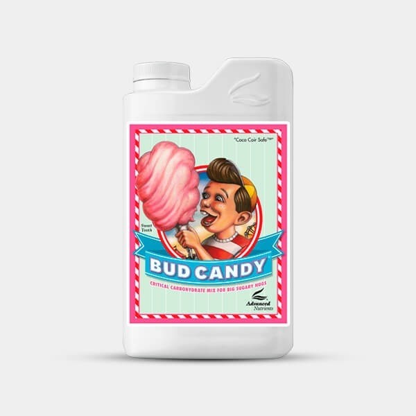 Visualizzazione Bud Candy