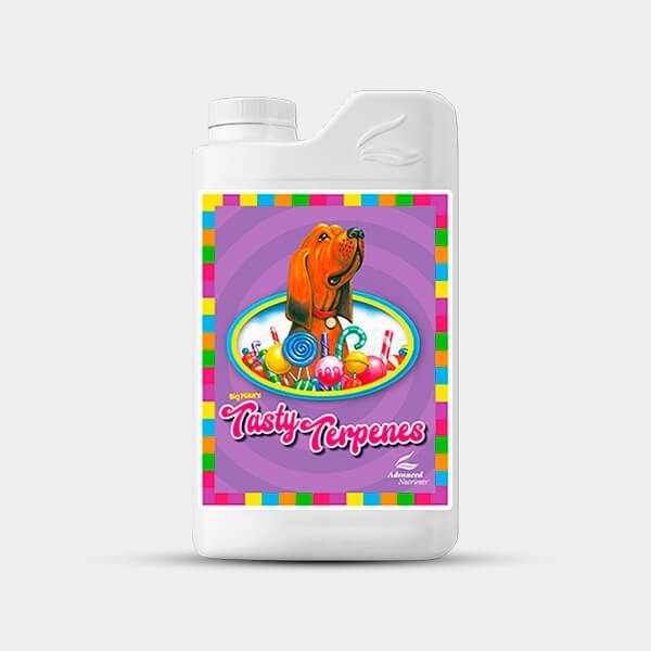 Visualizzazione Tasty Terpenes