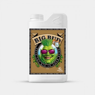 Visualizzazione Big Bud Coco