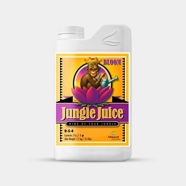 Visualizzazione jungle juice bloom