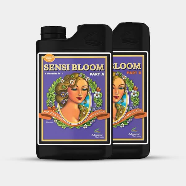 Visualizzazione Sensi Bloom A+B PH Perfect Advanced Nutrients