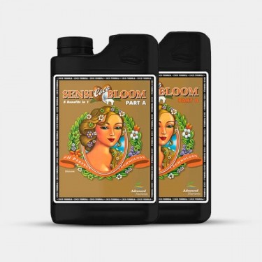 Visualizzazione Sensi Bloom A+B Coco de Advanced Nutrients