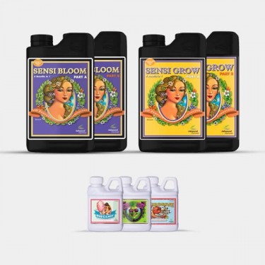 AN Simple Pack