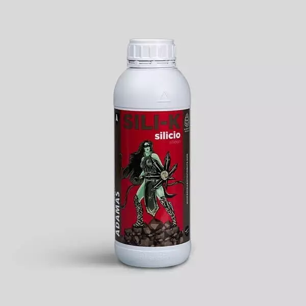 Visualizzazione Sili-K ÁDamas