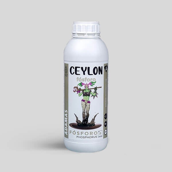 Visualizzazione Ceylon ÁDamas