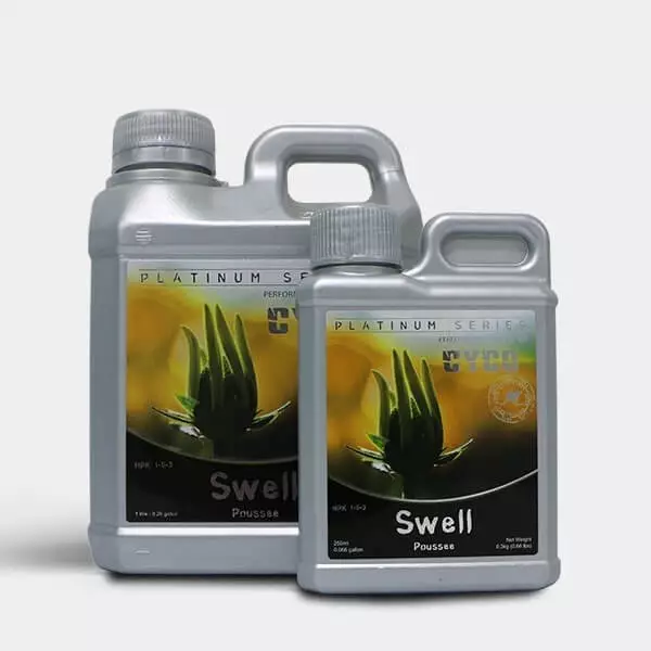 Visualizzazione Swell