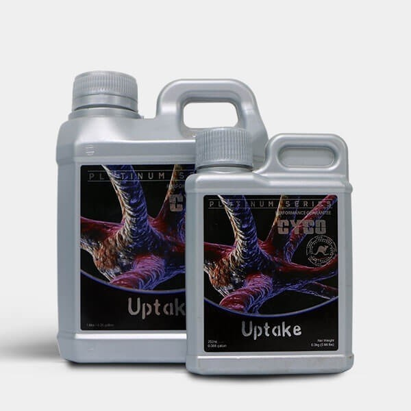 Visualizzazione Uptake