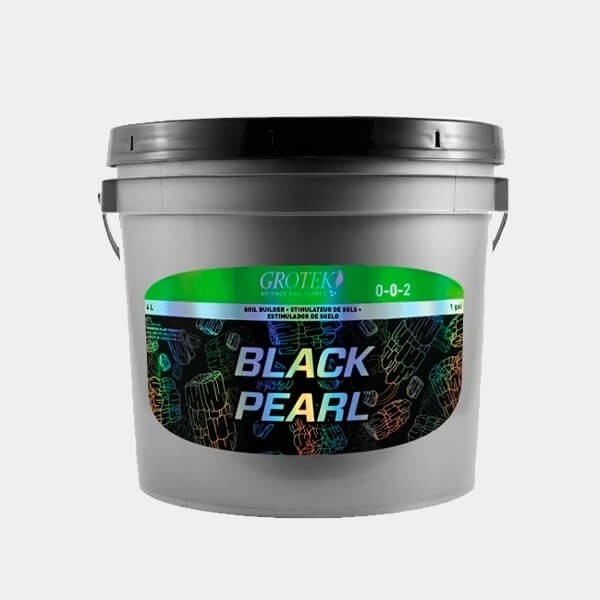 Black Pearl Grotek