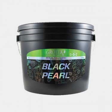 Black Pearl Grotek