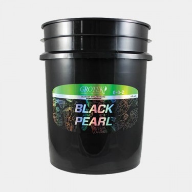 Black Pearl Grotek