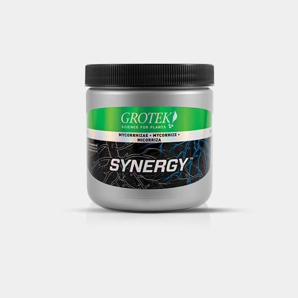 Synergy Grotek Organics micorriza naturale.