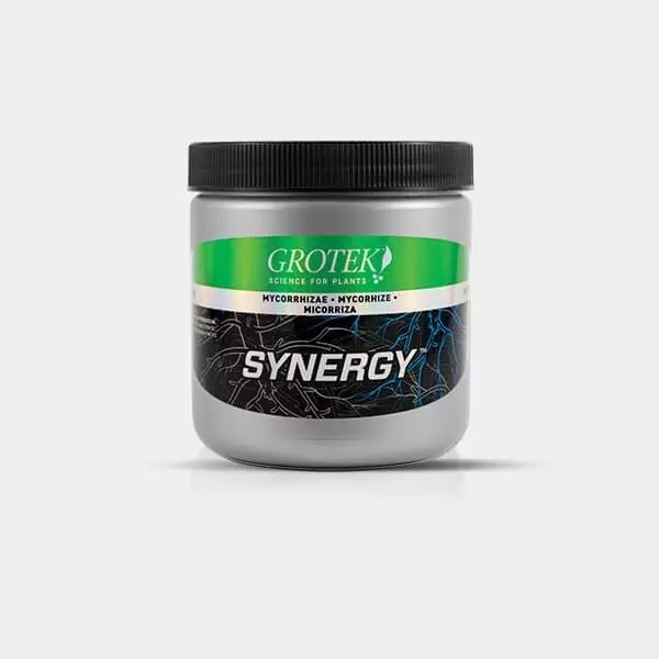 Synergy Grotek Organics micorriza naturale.