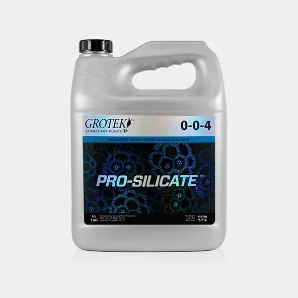 Pro-Silicate
