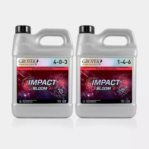 Impact Bloom A+B