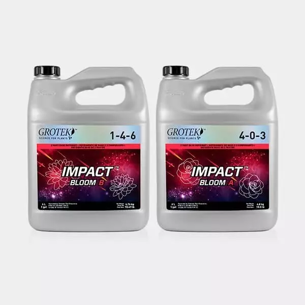 Impact Bloom A+B
