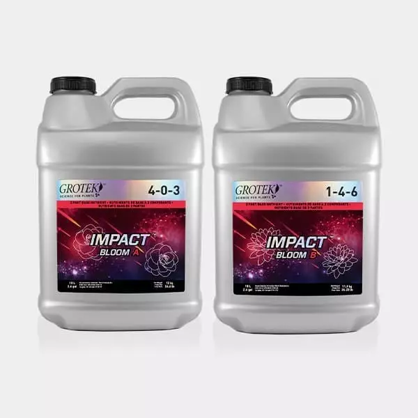 Impact Bloom A+B