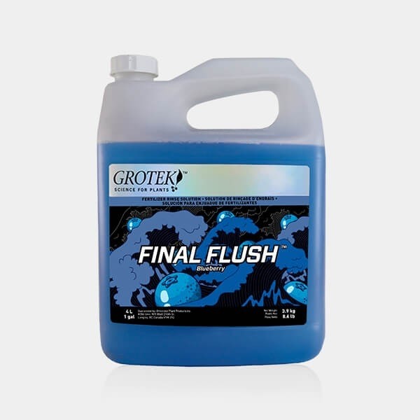 Final Flush