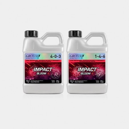 Impact Bloom A+B di Grotek fioritura