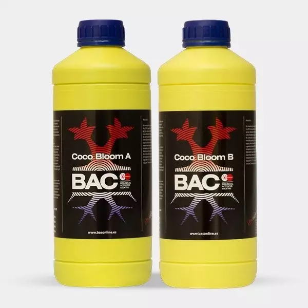 Visualizzazione Coco Bloom A+B di BAC, base di fioritura