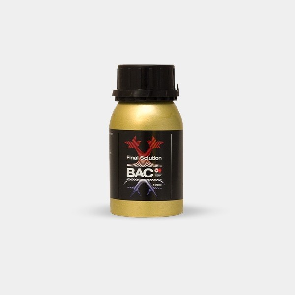 Final Solution BAC