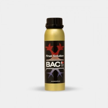 Final Solution BAC