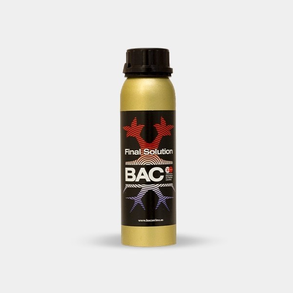 Final Solution BAC