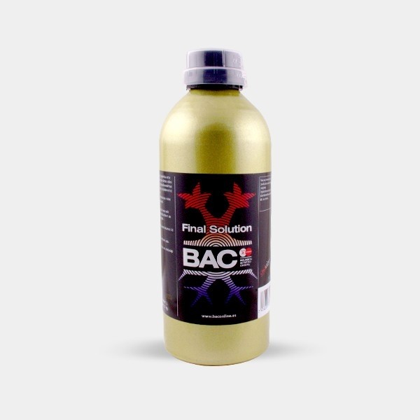 Final Solution BAC