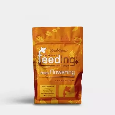 Powder Feeding Short Flowering di Green House