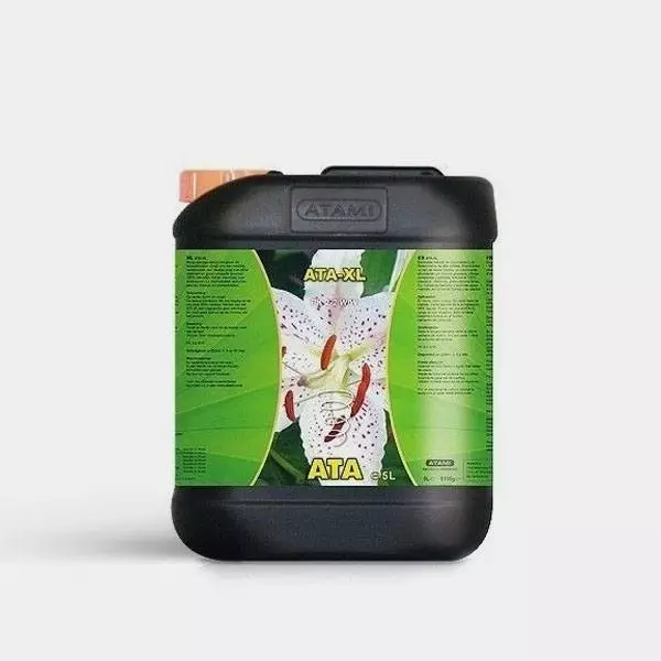 Ata XL