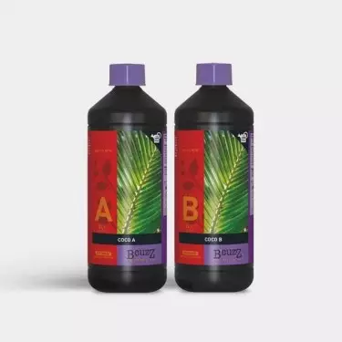 Cocco A+B fertilizzante in 2 parti B'cuzz