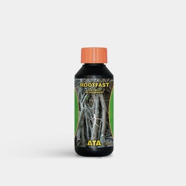 Visualizzazione RootFast di ATA stimola la zona radicale.