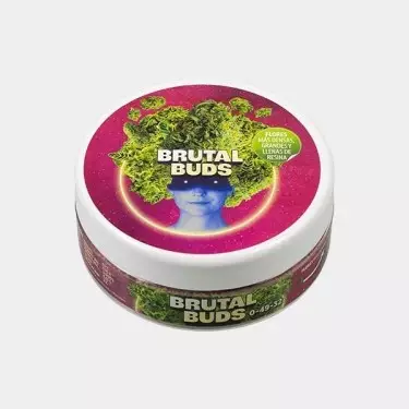 brutal buds it 1