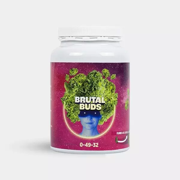 brutal buds 2 it