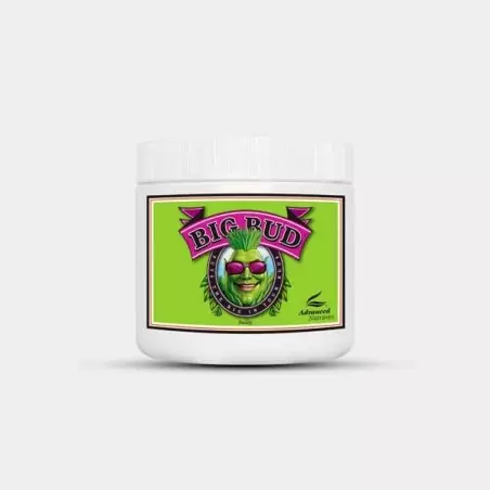 Big Bud Powder - Advanced Nutrientes | GB The Green Brand