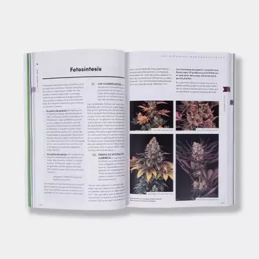 El Libro de Toni13 - GB The Green Brand