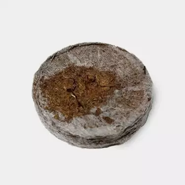 Dischi di torba pressata jiffy 7 41-44mm - GB The Green Brand