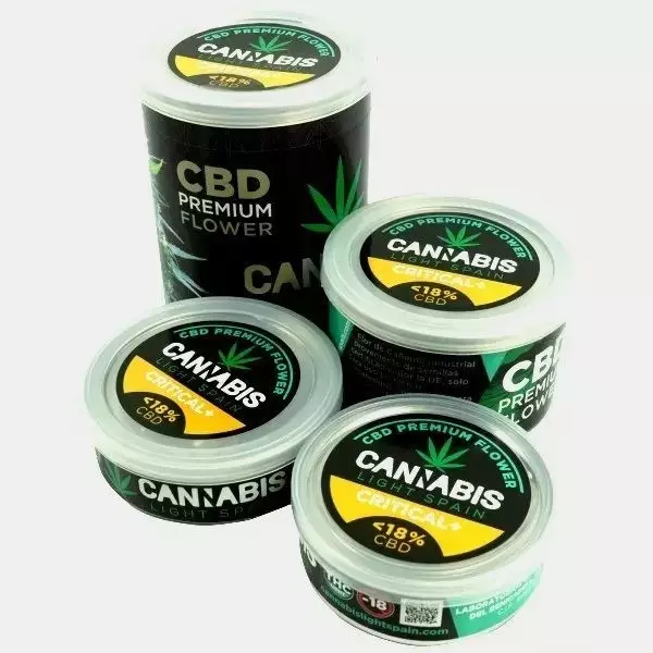 Fiori canapa Cannabis Light Spain Critical+