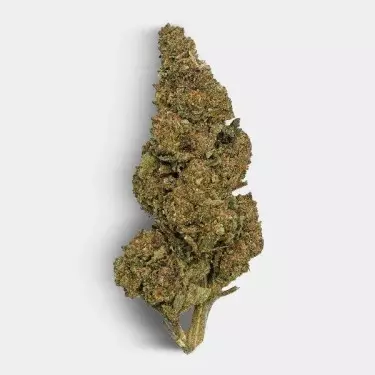 Fiori di CBD The Family REAL TALK- GB The Green Brand