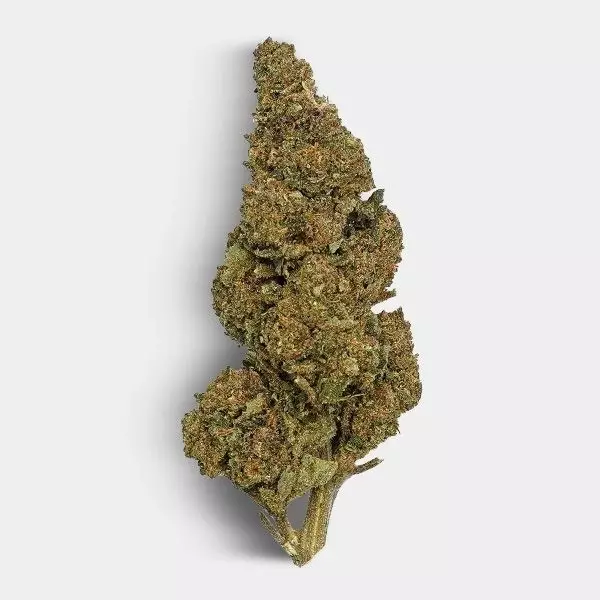 Fiori di CBD The Family REAL TALK- GB The Green Brand