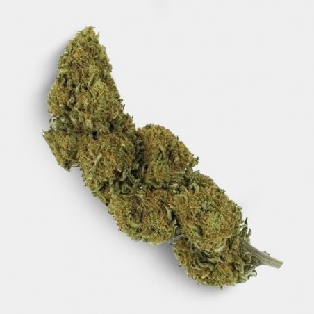 Fiori CBD Outdoor 25 g + Beauty case antiodore GB OG Kush