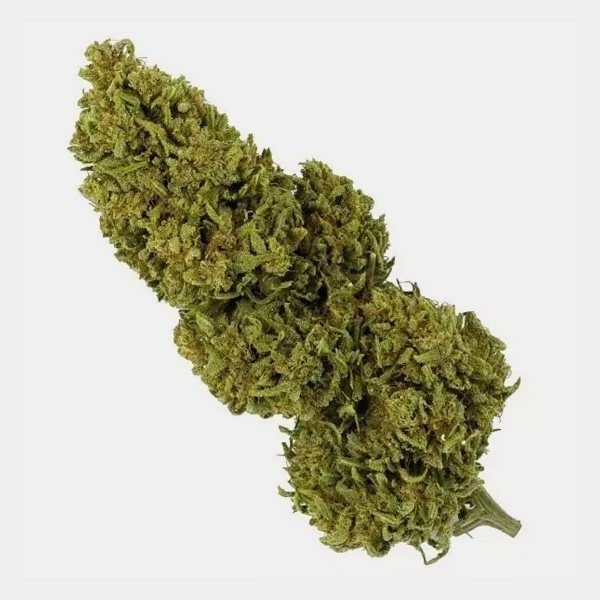 Fiori CBD Outdoor 25 g + Beauty case antiodore GB blue cheese