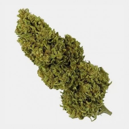Fiori CBD Outdoor 25 g + Beauty case antiodore GB blue cheese