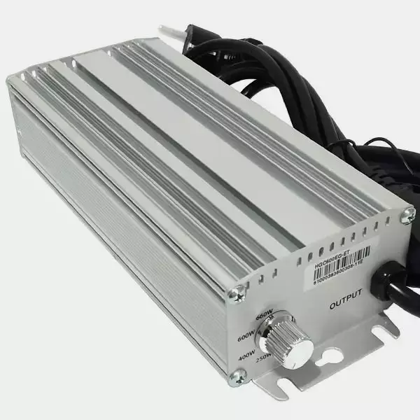 Kit Elettronico Regolabile Vanguard 600W Kit Elettronico Regolabile Vanguard 600W