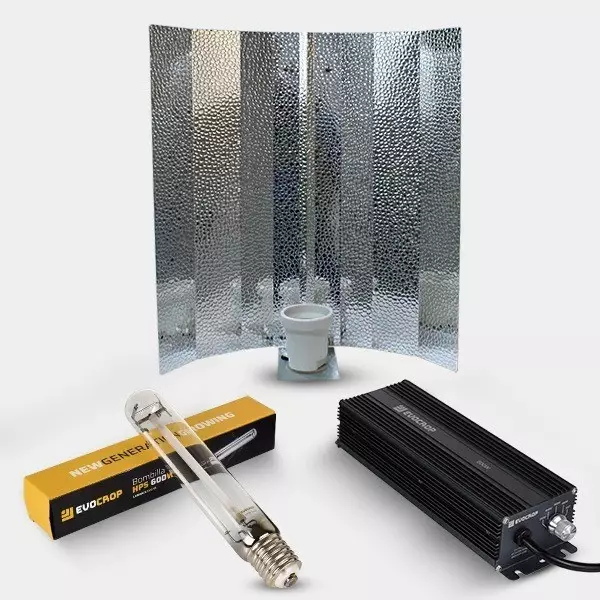 Kit Lamarck 600W Regolabile